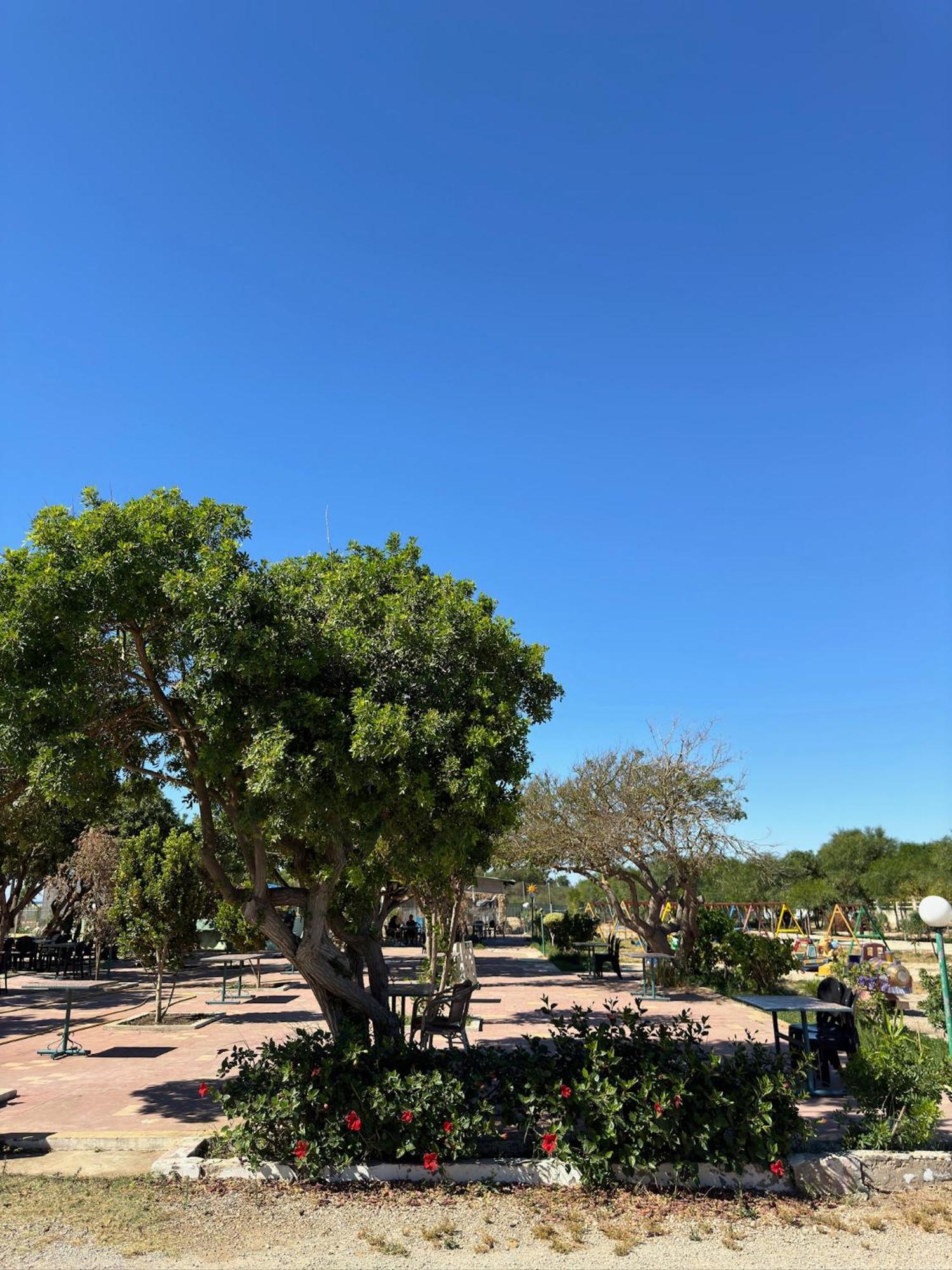 Camping Nature & Mer Tahadart - Bungalows Briech Exterior foto